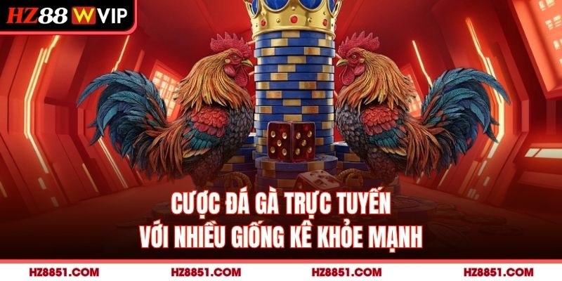 Cược đá gà trực tuyến với nhiều giống kê khỏe mạnh