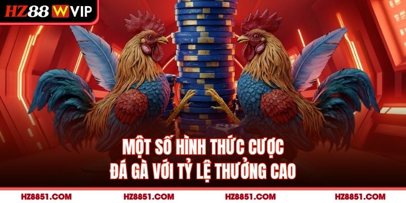 Một số hình thức cược đá gà với tỷ lệ thưởng cao